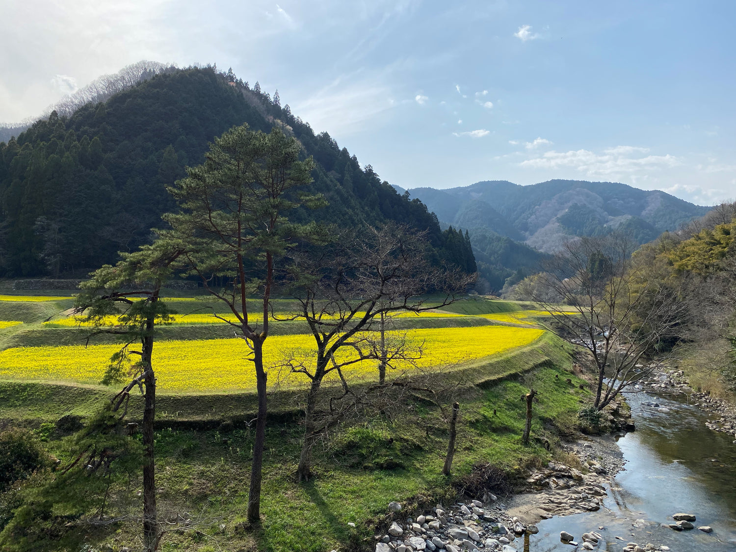 Selections from Japan